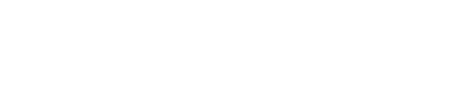 bw西汉姆联